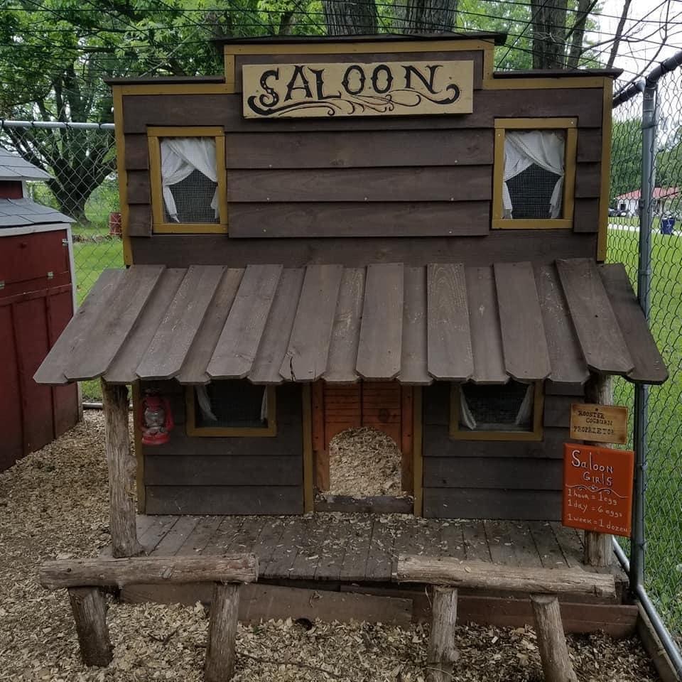 chicken coop town