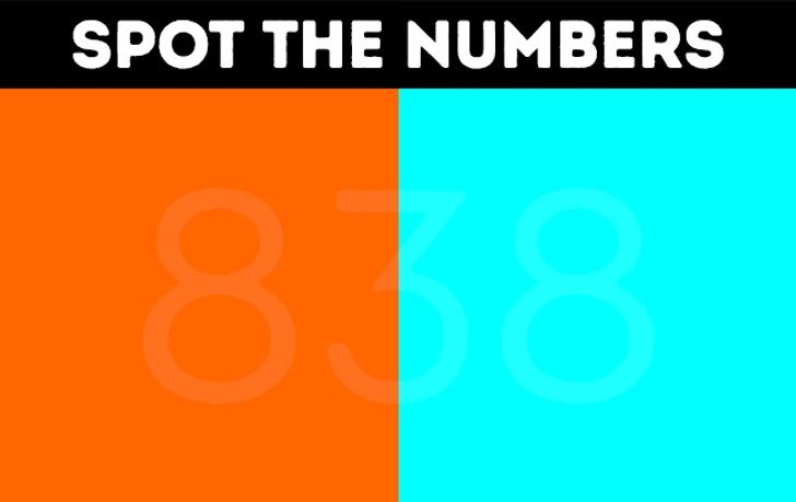 spot the numbers