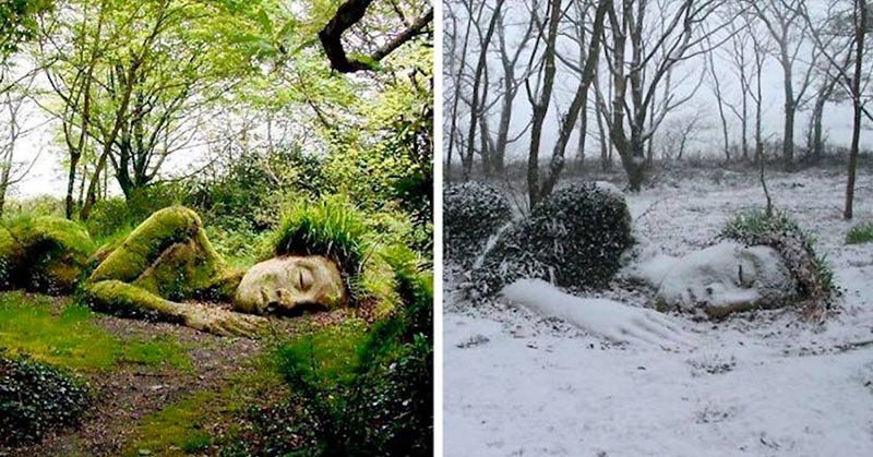 Stunning Living Sculpture Changes Its Appearance With The Seasons
