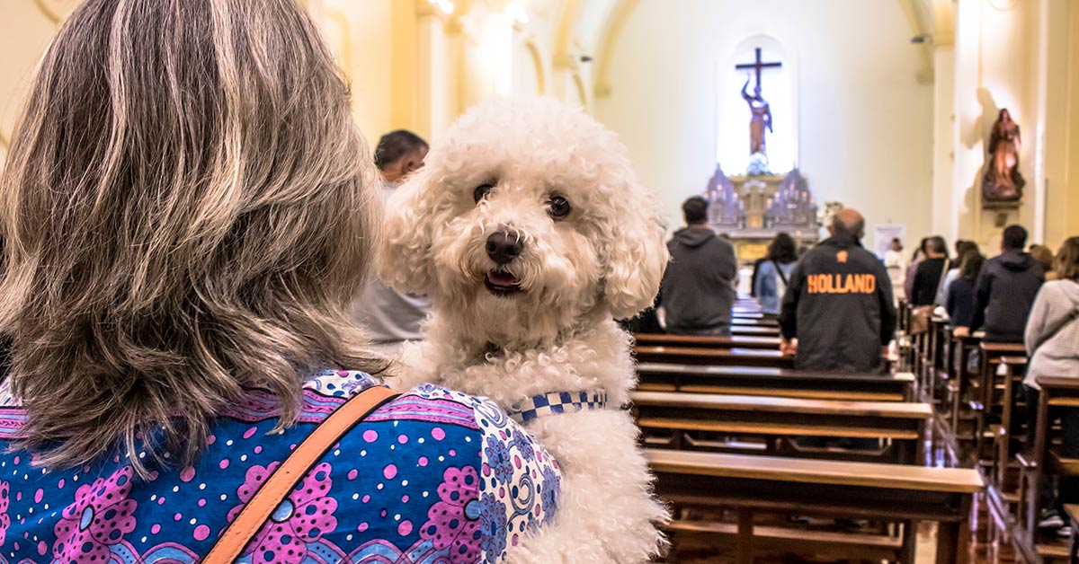 woman holding a dog in church