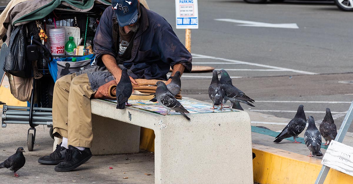 homeless person sitting on a bench feeding pigeons