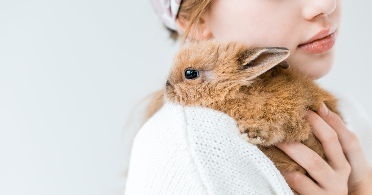 woman holding a rabbit on her shoulder