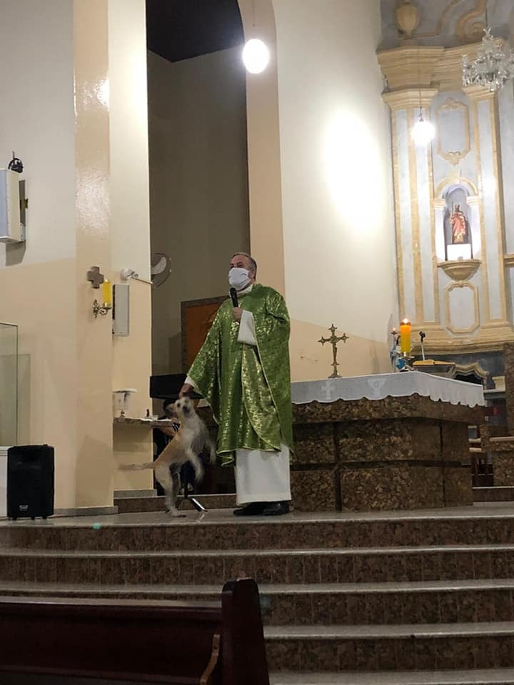 Father Gomes holding service alongside a dog with a mask on.