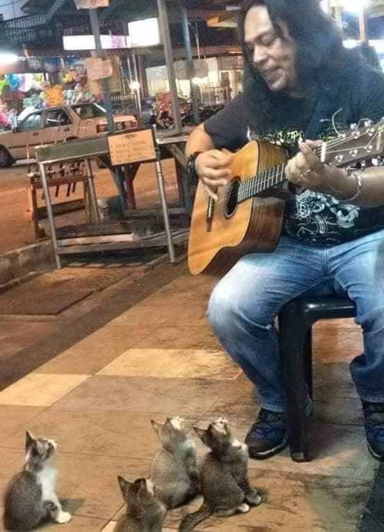 The street performer performing to the kitten audience.