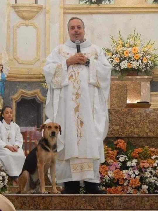Father Paulo with a rescued dog while holding a service
