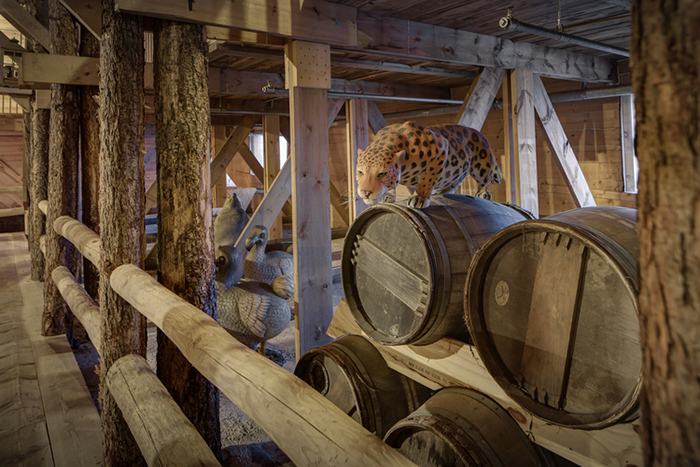 cheetahs climbing barrels inside replica of Noah's Ark