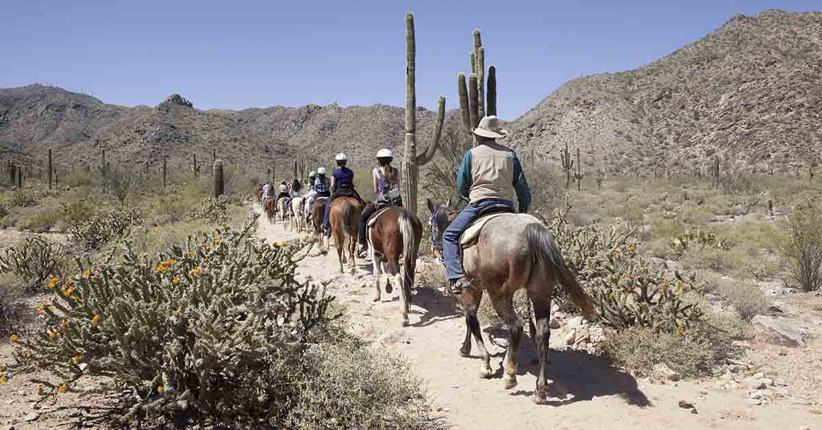 several people riding horses on a trail in a desert like area