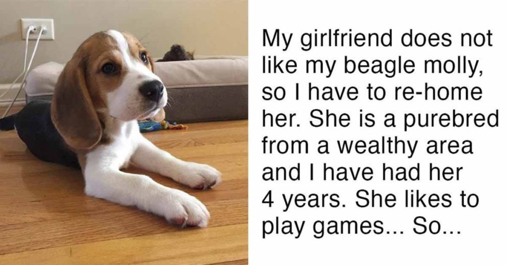 Man’s girlfriend gives him ultimatum, either the dog goes or she goe...